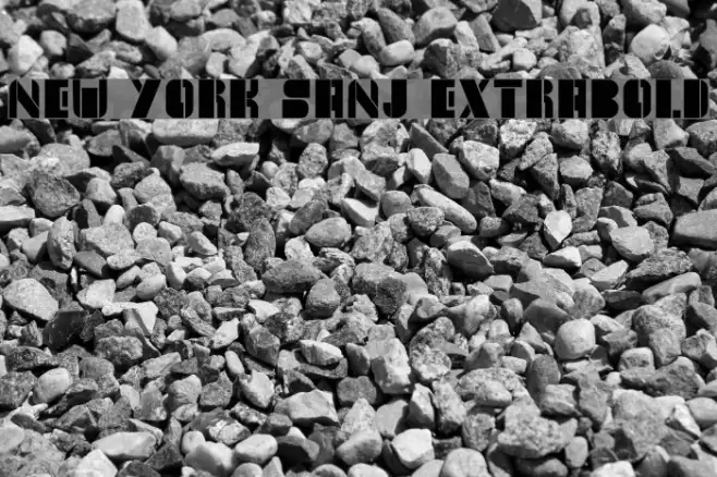 New York Sanj ExtraBold Example 2