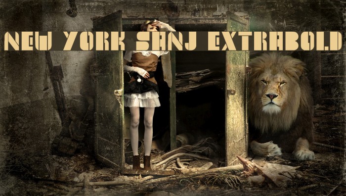 New York Sanj ExtraBold Font examples