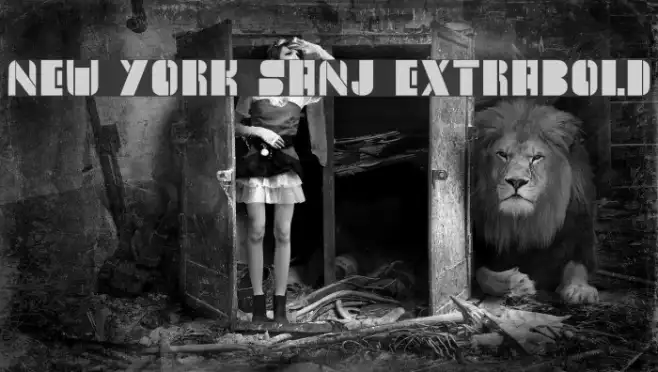 New York Sanj ExtraBold Example 3