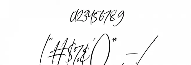 New York Signature Italic Font OTHER CHARS