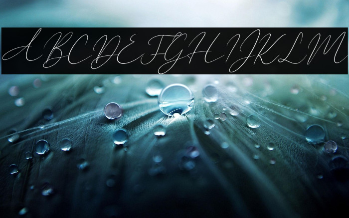 New York Signature Italic Example 1