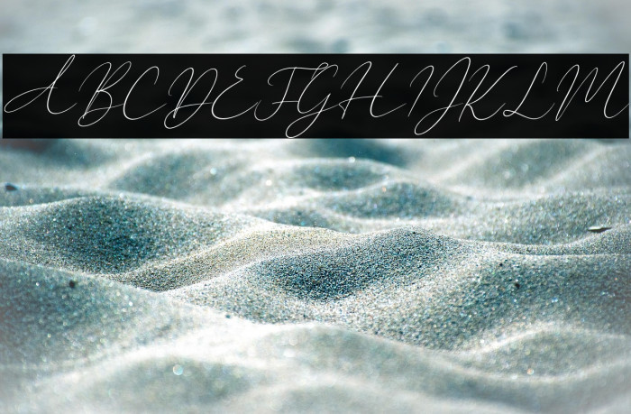 New York Signature Italic Example 2