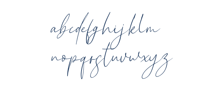 New York Signature Italic Lowercase
