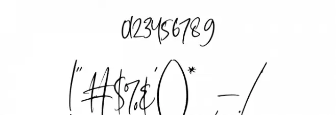 New York Signature Font OTHER CHARS