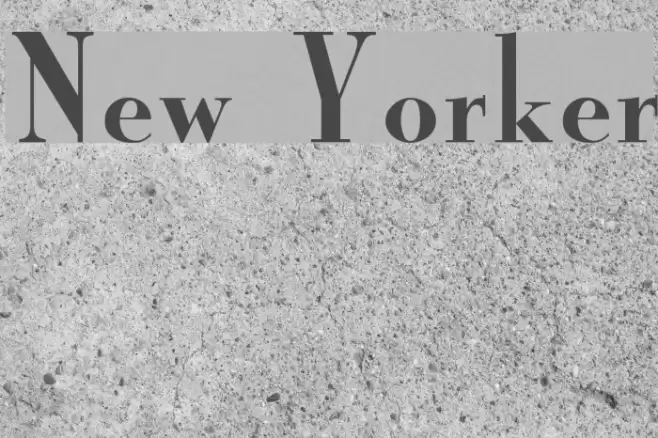 New Yorker Font examples