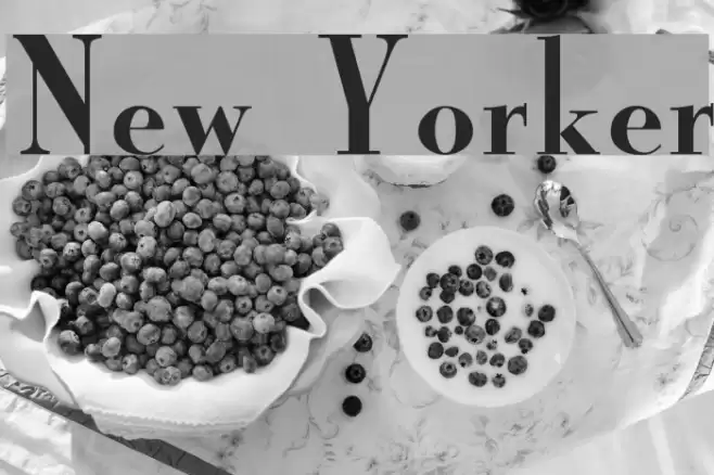 New Yorker Font examples