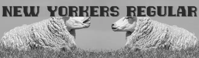 New Yorkers Regular Font examples