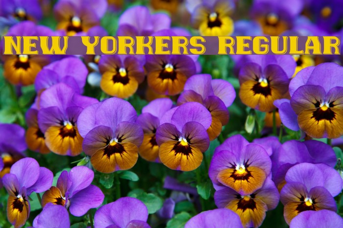New Yorkers Regular Font examples