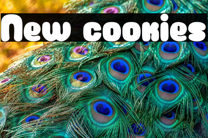 New cookies Example 1