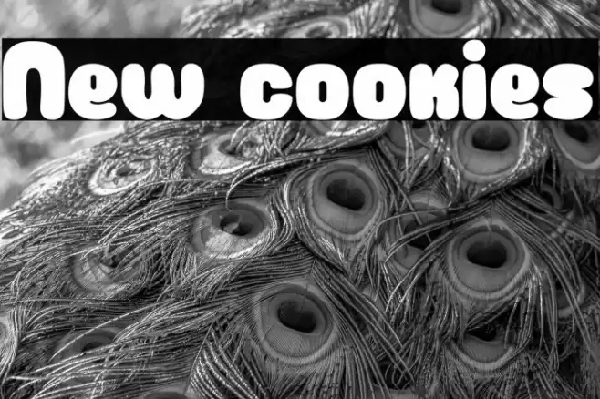 New cookies Font examples