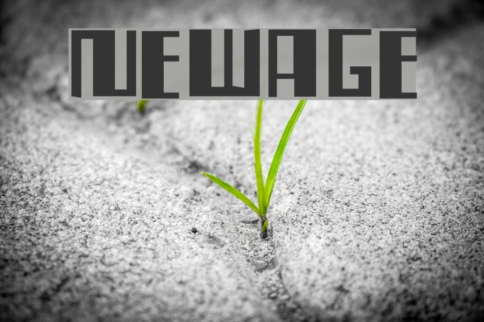 NewAge Font examples