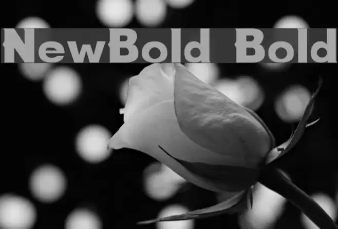 NewBold Bold フォント examples