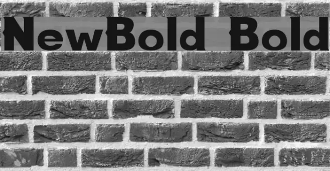 NewBold Bold フォント examples