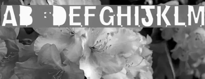 NewBold-Light Font examples