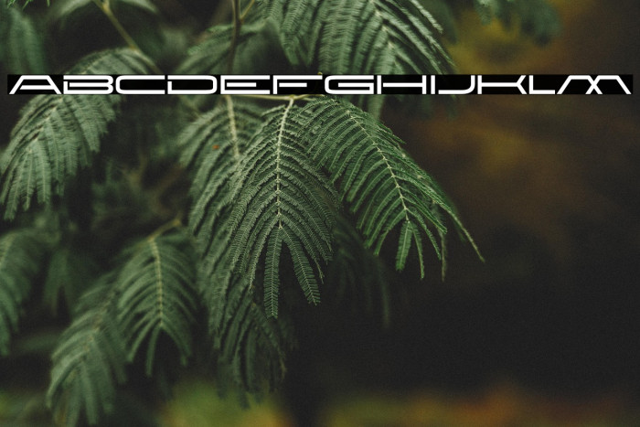 NewBrilliant-Regular Example 1