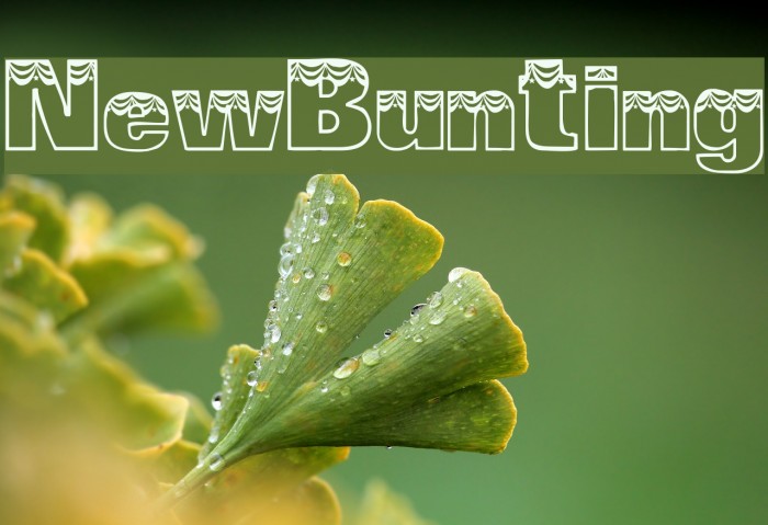 NewBunting Font examples