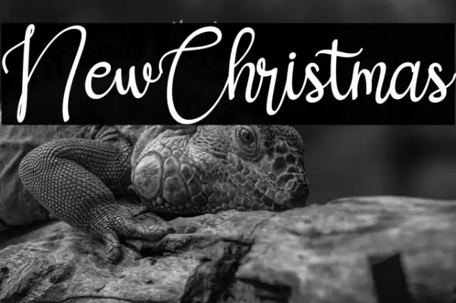 NewChristmas Font examples