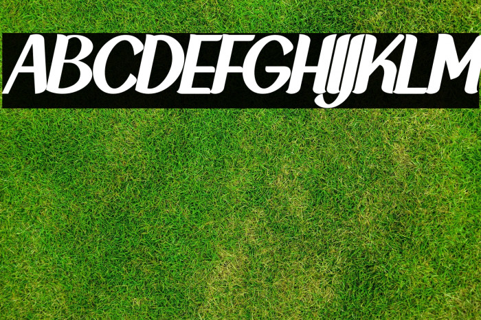 NewCrown-BlackItalic_DEMO Example 1