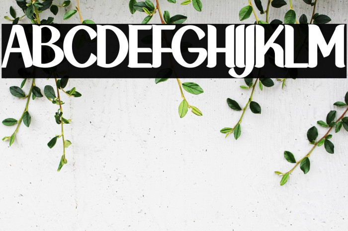 NewCrown-Black_DEMO Example 1