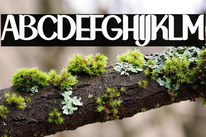 NewCrown-Black_DEMO Example 2