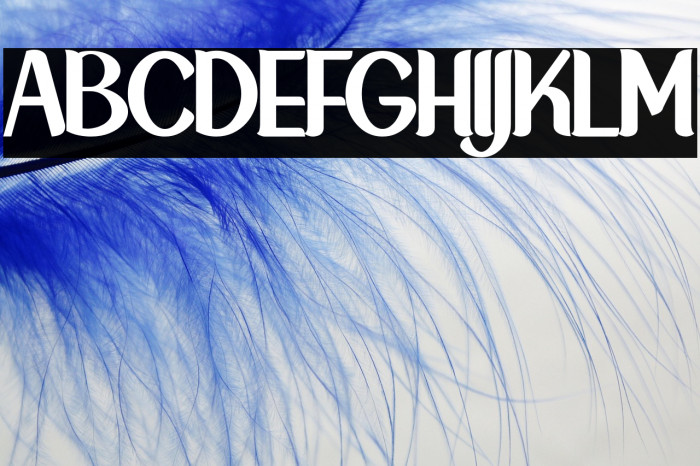 NewCrown-Bold_DEMO Example 1