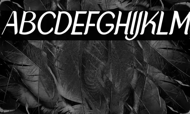 NewCrown-LightItalic_DEMO Example 3