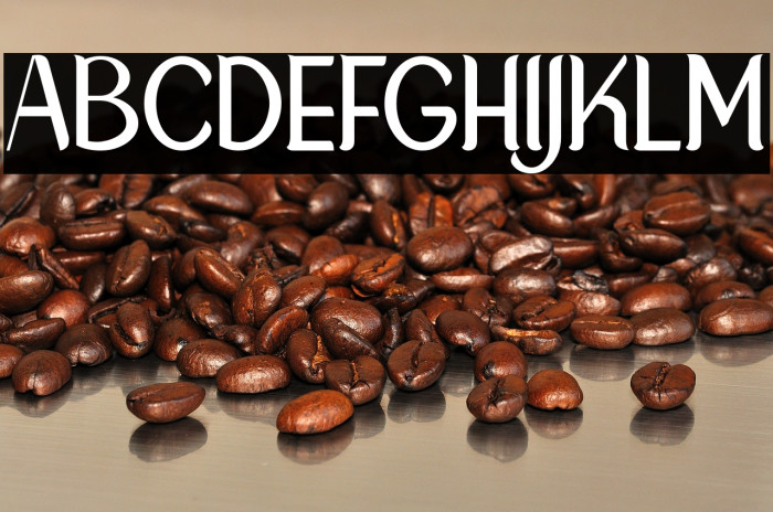 NewCrown-Light_DEMO Example 2