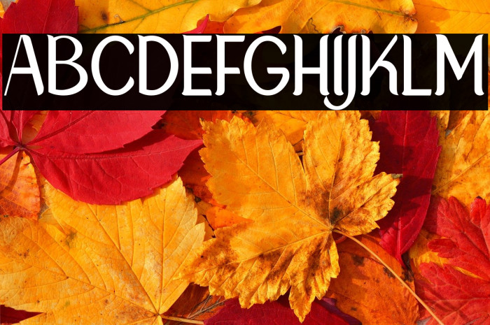 NewCrown-Light_DEMO Example 3