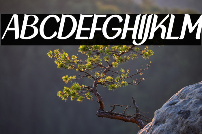 NewCrown-NormalItalic_DEMO Example 1