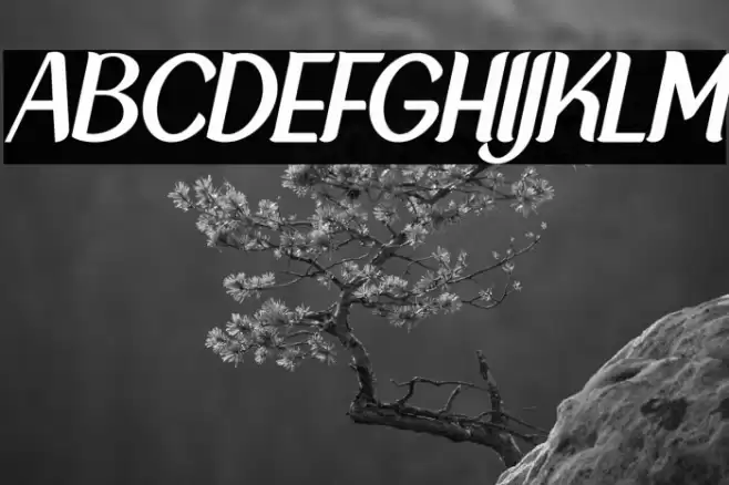 NewCrown-NormalItalic_DEMO Font examples