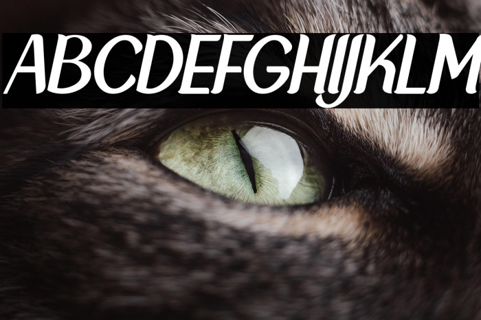 NewCrown-NormalItalic_DEMO Example 3