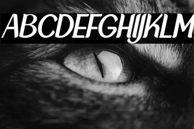 NewCrown-NormalItalic_DEMO Font examples