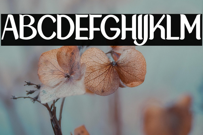 NewCrown-Normal_DEMO Example 1