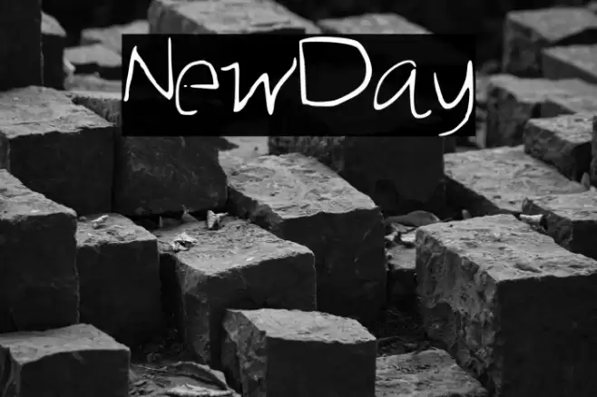 NewDay Polices examples