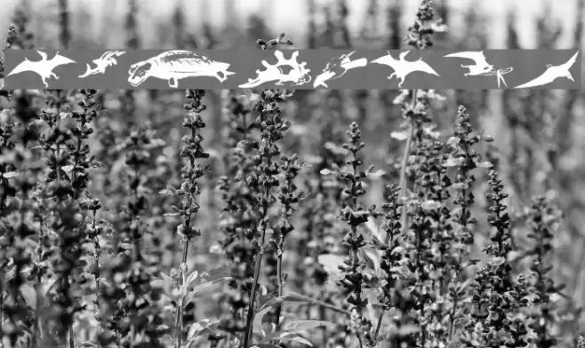 NewDinos Font examples