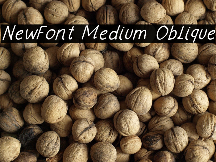 NewFont Medium Oblique フォント examples