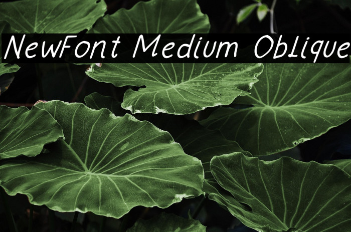 NewFont Medium Oblique フォント examples