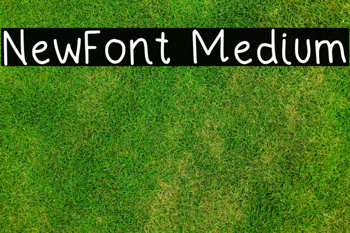 NewFont Medium フォント examples