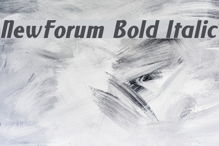 NewForum Bold Italic Font examples