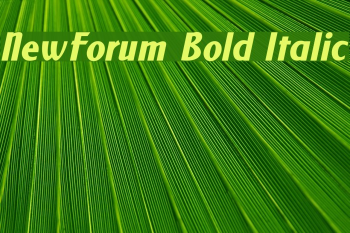 NewForum Bold Italic Font examples