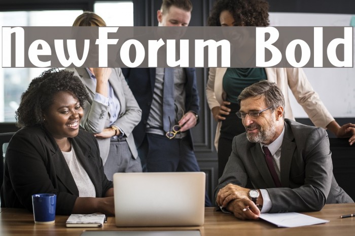 NewForum Bold Font examples