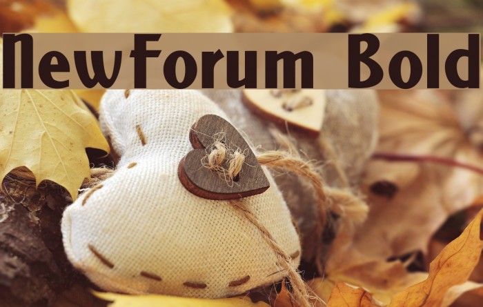 NewForum Bold Font examples