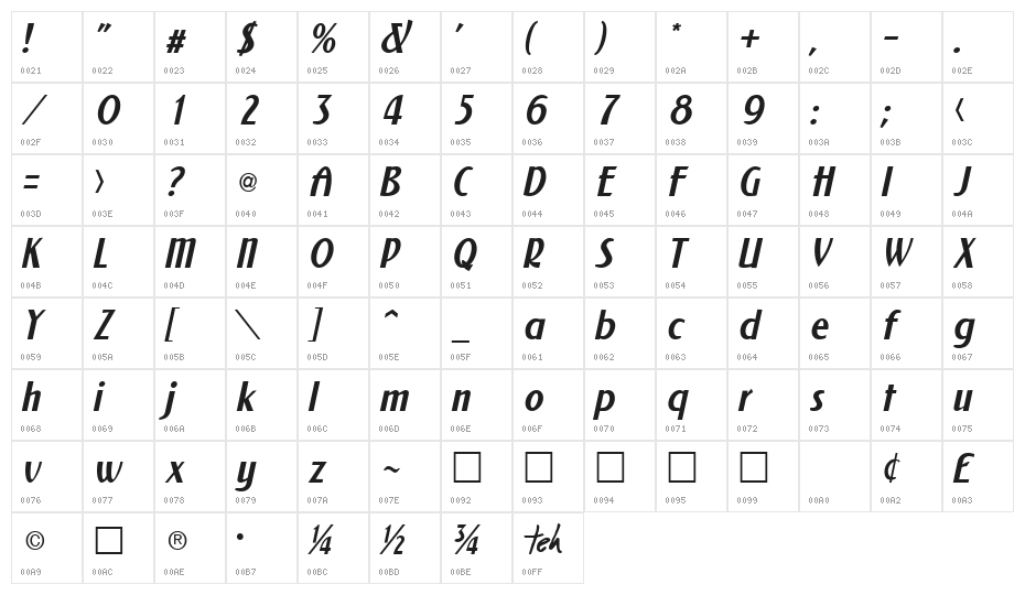 NewForum Italic Character Map