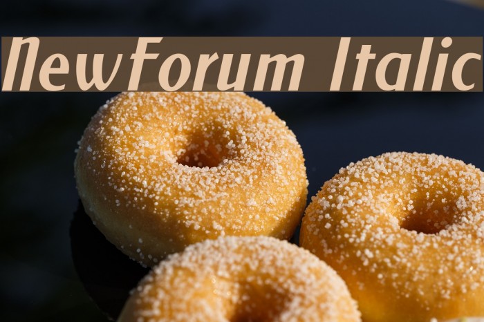 NewForum Italic Font examples