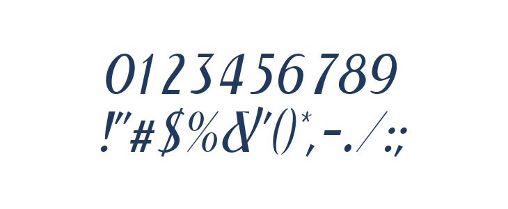 NewForumLight Italic Other Characters