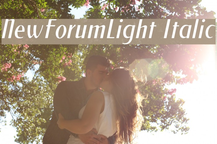 NewForumLight Italic Example 1