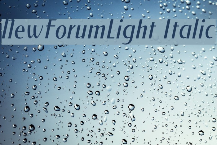 NewForumLight Italic Example 2