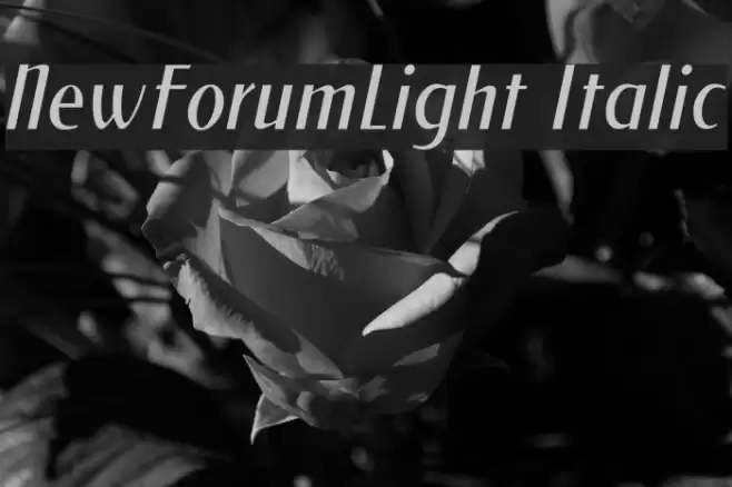 NewForumLight Italic Font examples