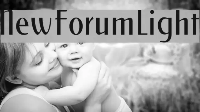 NewForumLight Example 1