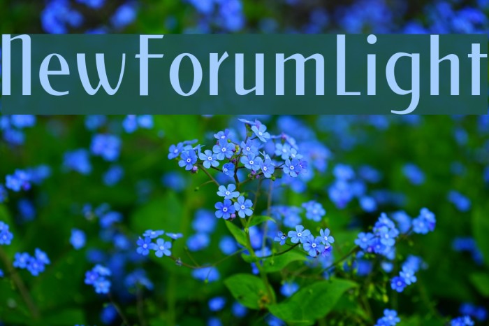 NewForumLight Font examples